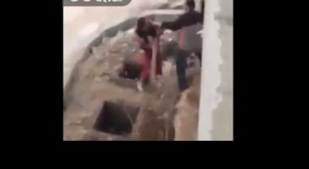 Grushta, shkelma dhe hunj kokës, pamje tronditëse nga Memaliaj (VIDEO)