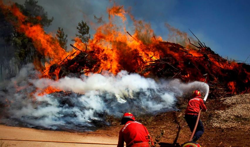 Portugalia dekreton tri ditë zie kombëtare pas zjarreve në pyje