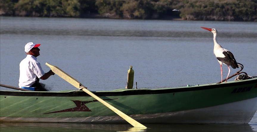 Miqësia e pazakontë disa vjeçare e peshkatarit me lejlekun (FOTOT)