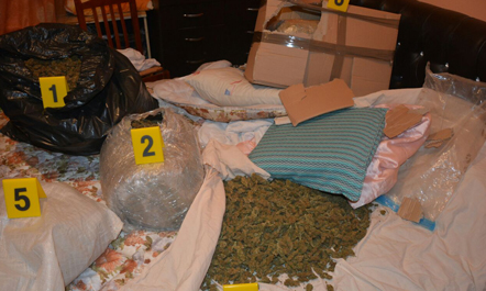 Armë, drogë dhe municione luftarake, 3 të arrestuar në Fier