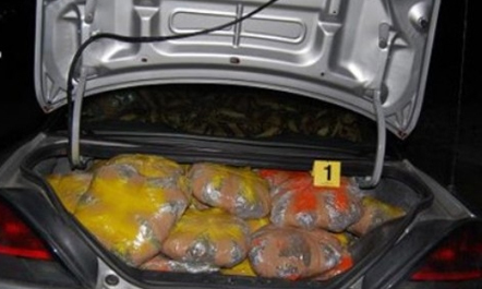 Shqiptari kapet me 85 kg kanabis, arrestohet nga policia greke