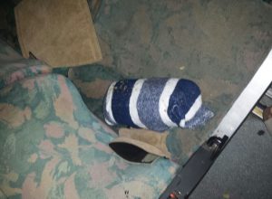 Tentoi të kalojë drogë nga Porti i Durrësit, arrestohet shoferi i autobusit