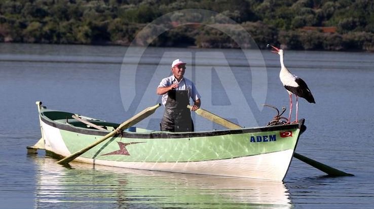 Miqësia e pazakontë disa vjeçare e peshkatarit me lejlekun (FOTOT)