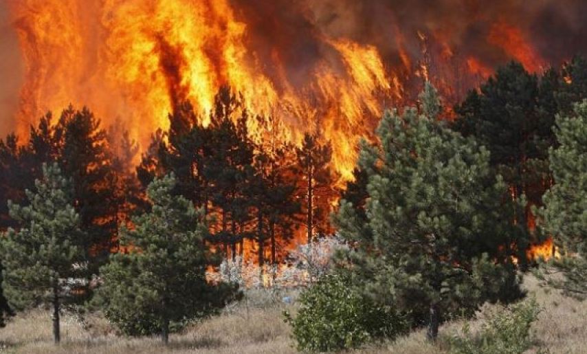 Marrin përmasa të frikshme flakët në Prespë, rrezikohet dogana! Kërkohet ndërhyrje nga ajri