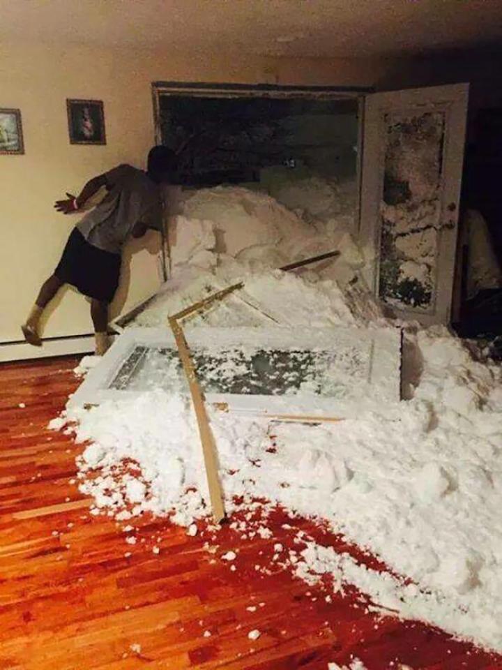 Keni kaluar një ditë të keqe? Hidhuni një sy këtyre fotove