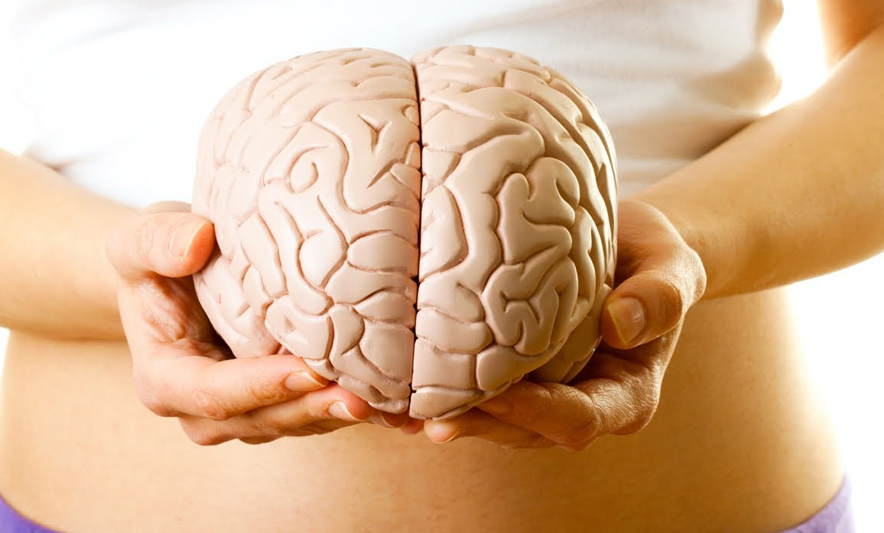 Neuroshkencëtarët: Kjo është mosha kur truri maturohet plotësisht