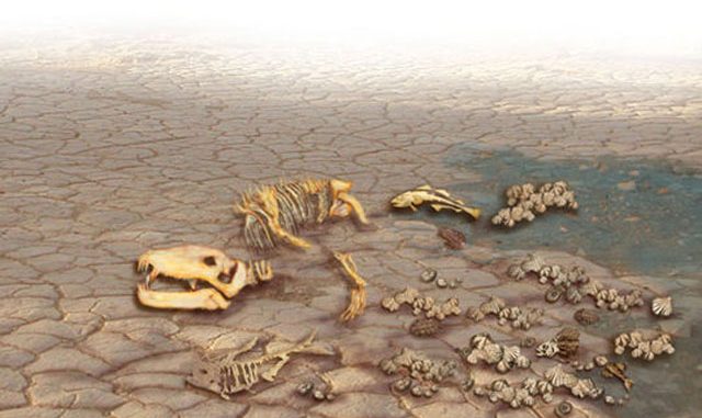 Përçahen shkencëtarët, a është pranë shfarosja e tokës?