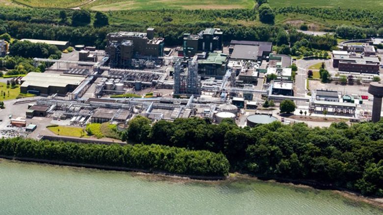 Kuriozitet/Në fshatin e Viagras, të gjithë të eksituar, madje edhe qentë