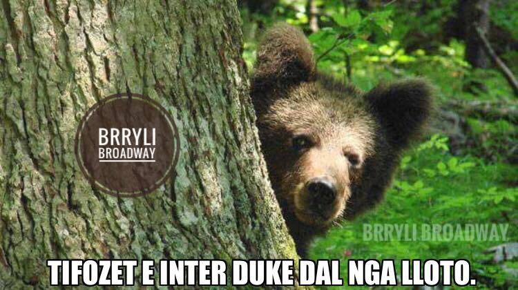 FOTOT/ Rrjetet sociale tallen keqazi me letrën e Metës për homologun e tij amerikan Trump