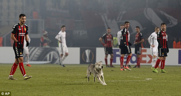 FOTOT/ Një mik i pazakontë futet në fushë dhe ndërpret ndeshjen e Europa League