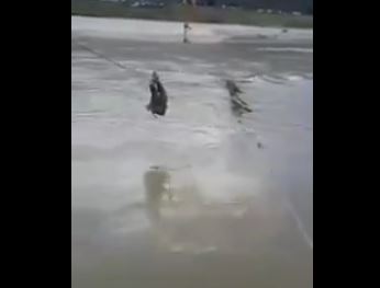 VIDEO/ Heroi i OSHEE-së që vuri jetën në rrezik për të rikthyer energjinë