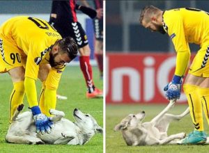 FOTOT/ Një mik i pazakontë futet në fushë dhe ndërpret ndeshjen e Europa League