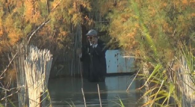 Fermerët e përmbytur në Fier: Nuk duam oriz e makarona, ushqim për bagëtitë