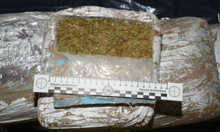 Sekuestrohen 148 kg marijuanë në Borizanë, arrestohet 36-vjeçari