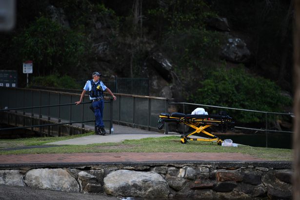 Tragjedi në ajër, shuhet e gjithë familja britanike