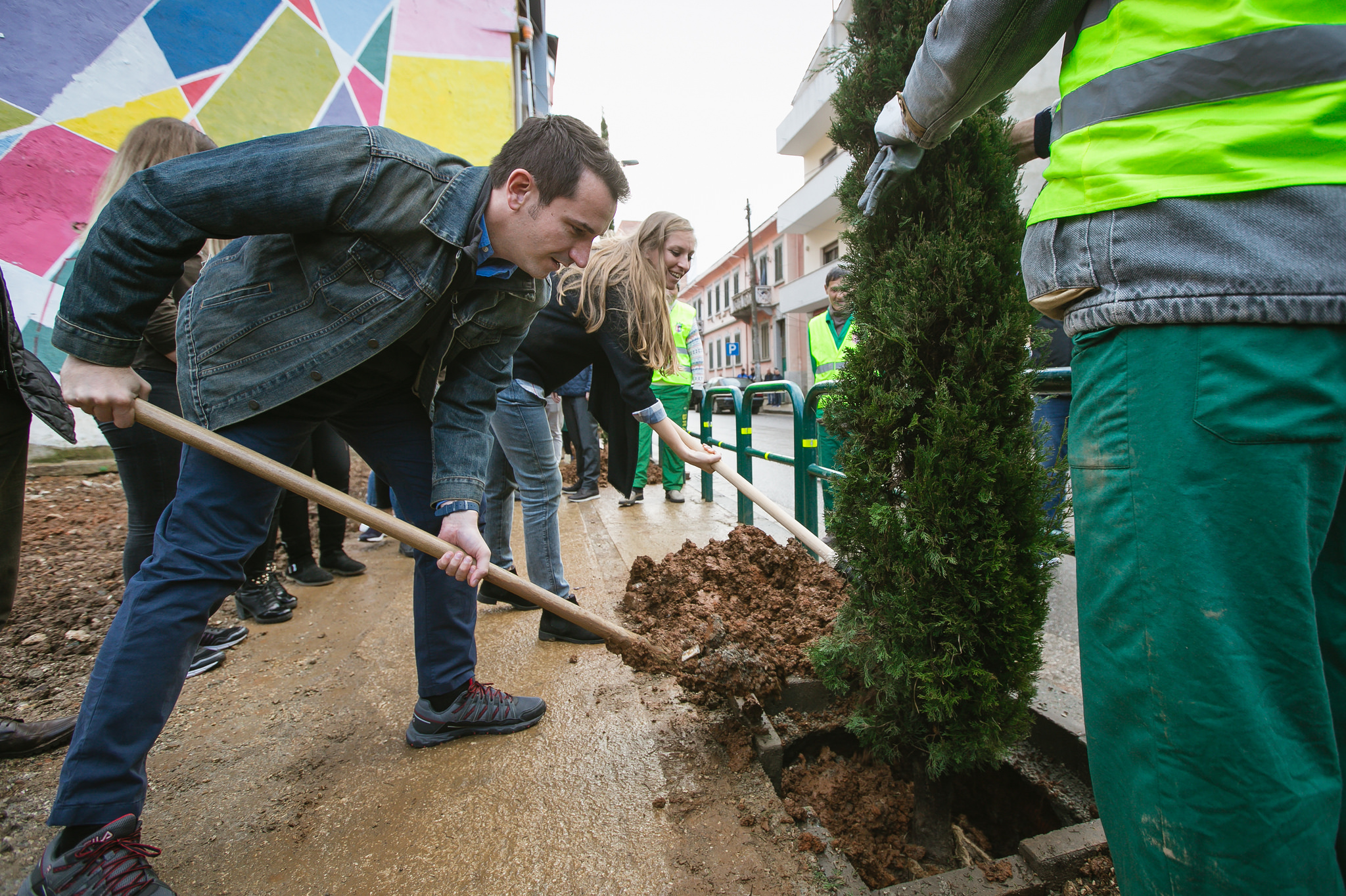 FOTOT/ Rikthehet në identitet lagjja e Selvive, mbillen 150 drurë dekorativë