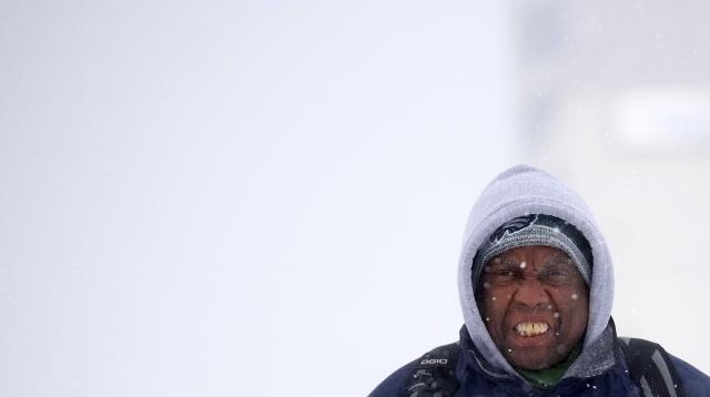 FOTOT/ Temperaturat ekstreme në SHBA, shikoni si ngrijnë peshkaqenët