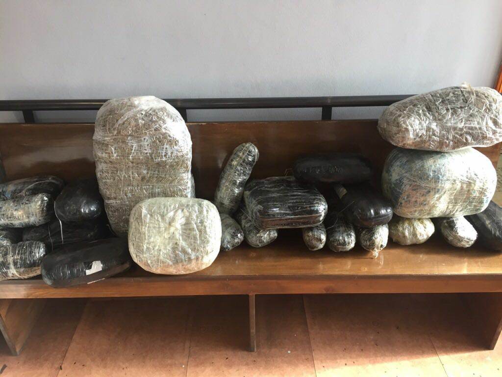 FOTO/ Kapen me 30 kg kanabis, policia greke prangos dy shqiptarë