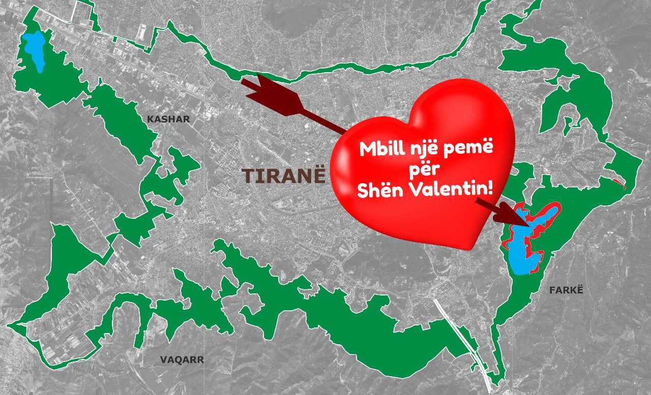 14 shkurti, mbill pemën tënde në Kopshtin e të Dashuruarve