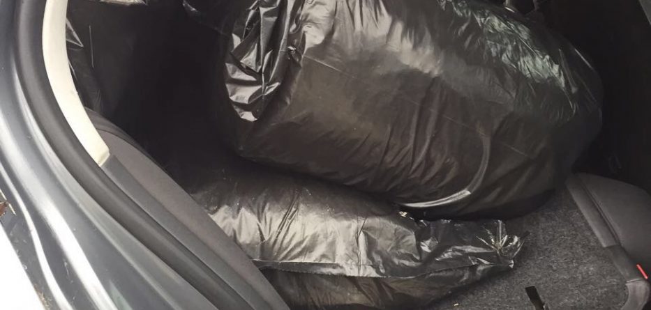 Emrat/ Sekuestrohen 98 kg kanabis dhe dy makina, pranga dy vlonjatëve