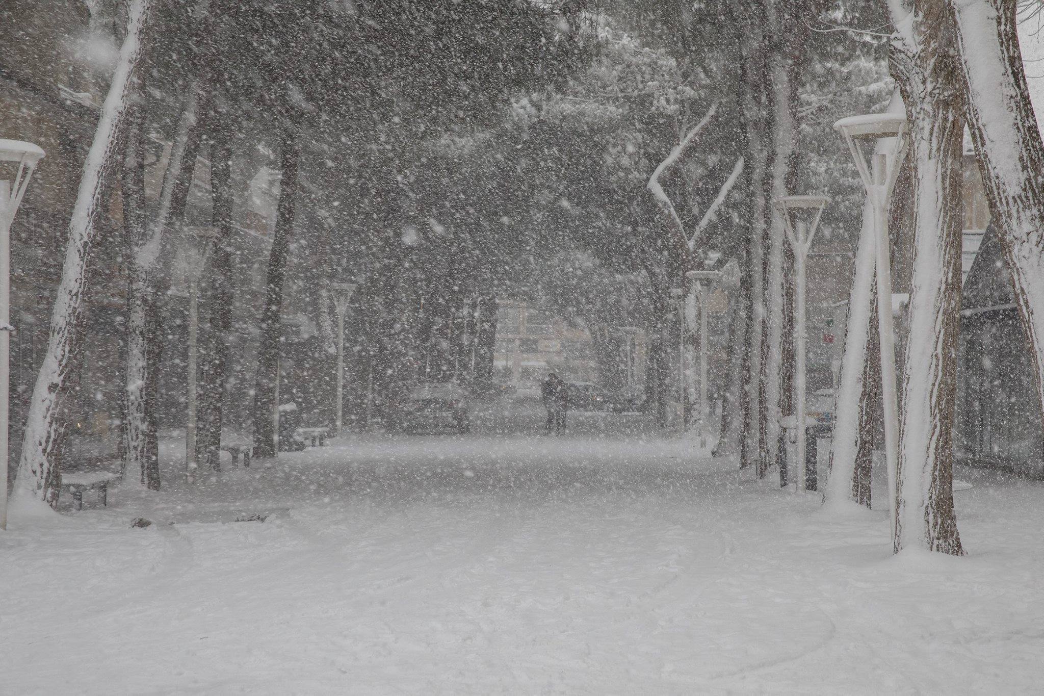 ‘Bisha nga Lindja’ mbërthen Europën, mbi 55 viktima dhe kaos në transport