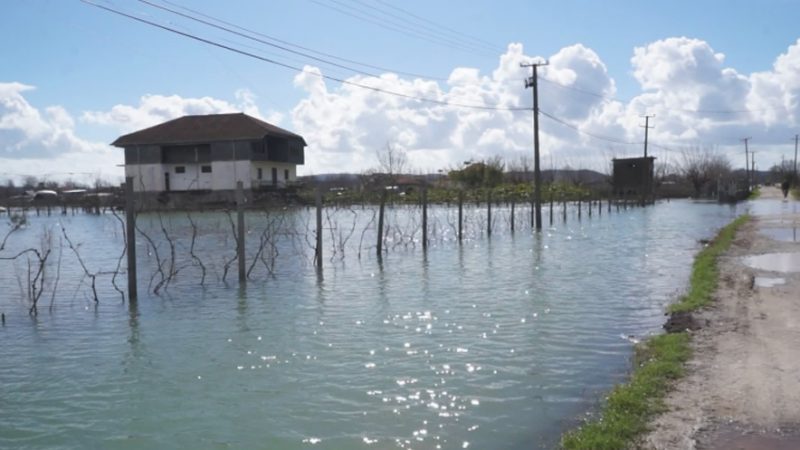 Përmbytjet në Shkodër, MM rrëzon shifrat e Bashkisë: Sipërfaqja nën ujë mbi 1545 hektarë