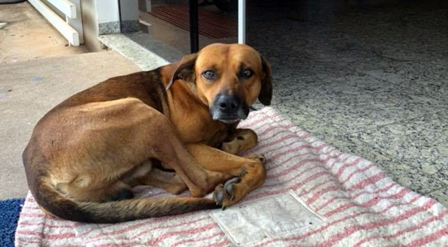 “Haçi 2” po i përlot të gjithë, priste te dera e spitalit të zotin që kishte vdekur