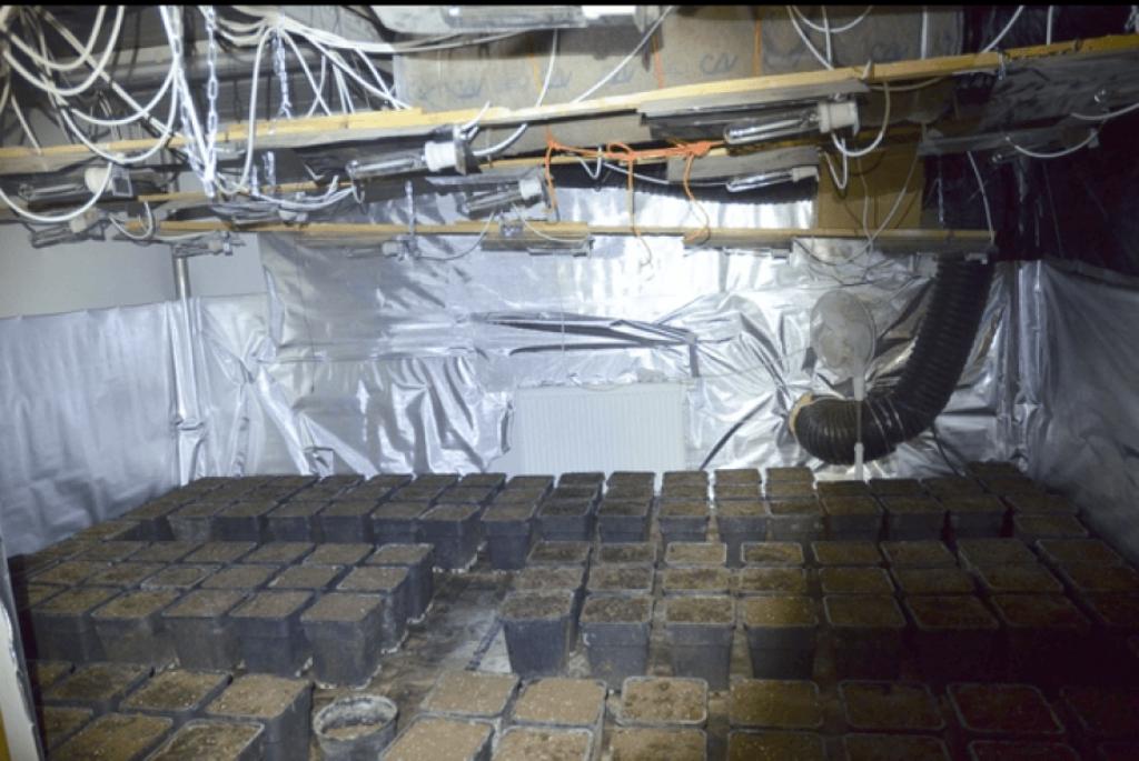 Laboratorë droge e pastrim parash, goditet mafia shqiptare, 31 në pranga