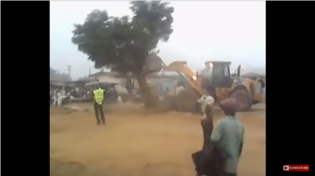 VIDEO/ Pema e ‘mallkuar’ ringrihet edhe pasi e shkulin me fadrom