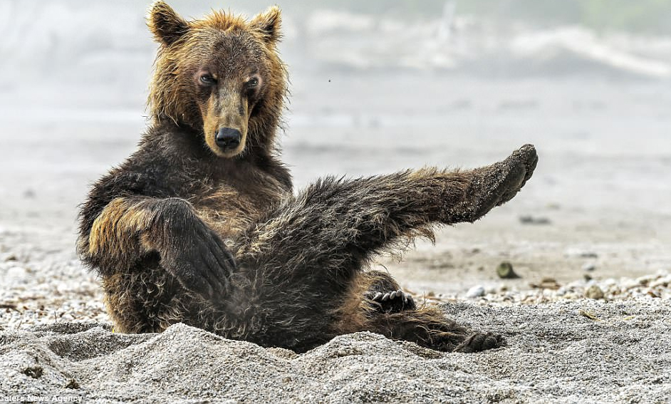 FOTOT/ Ariu sfidon modelet seksi