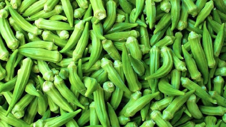 Eksportet, bamjet shqiptare më të kërkuarat