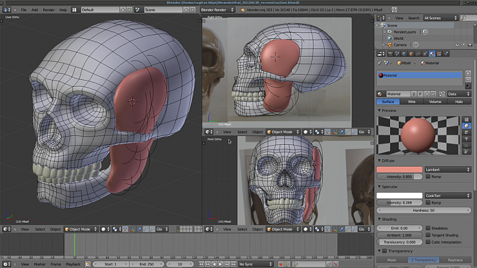 Antropologjia/ Rindërtohet në 3D truri i Neandertalit, të rejat