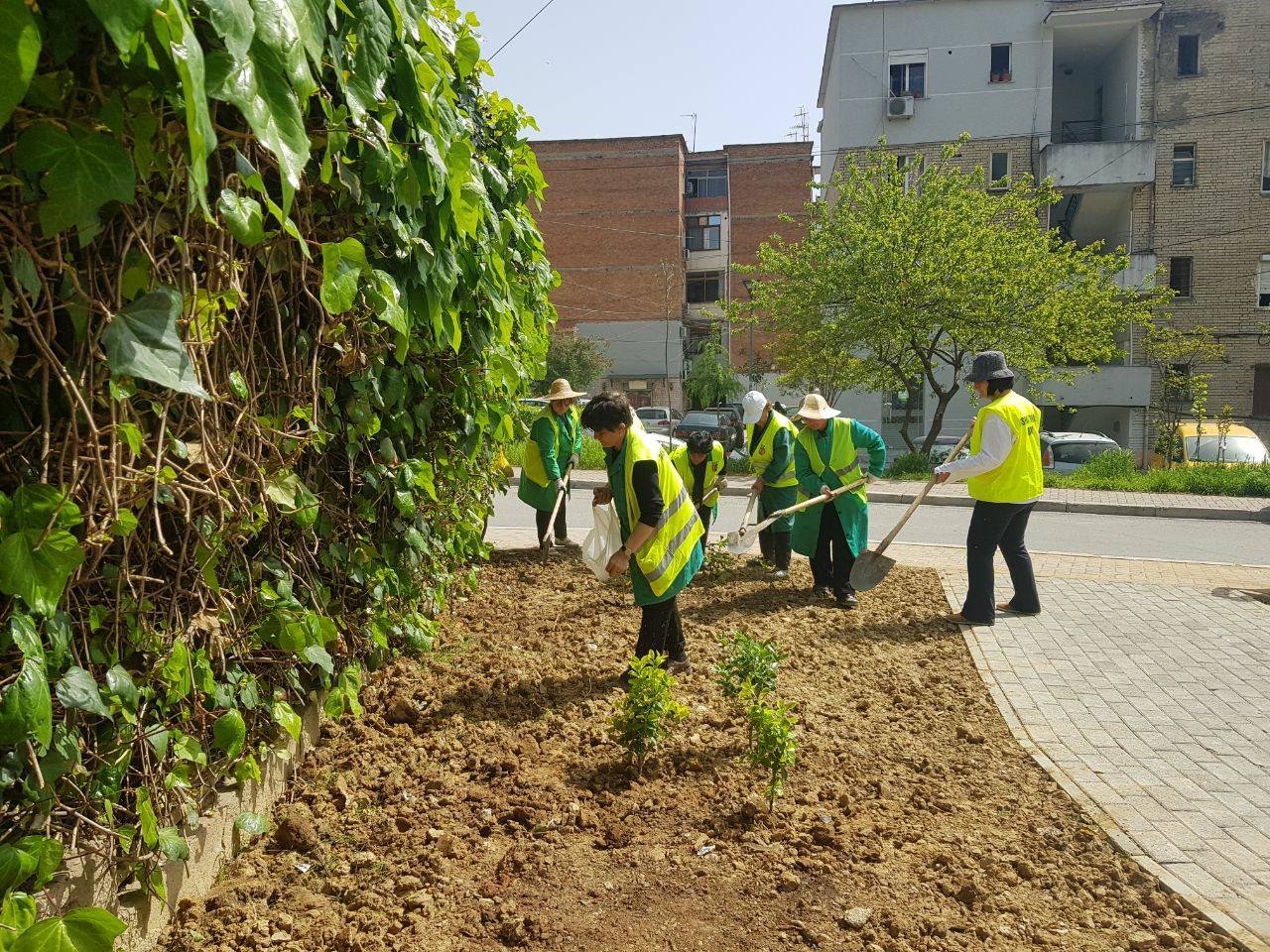 FOTOT/ Tiranës i shtohet një lulishte, zona e Mozaikut të Tiranës merr pamje tërësisht të re