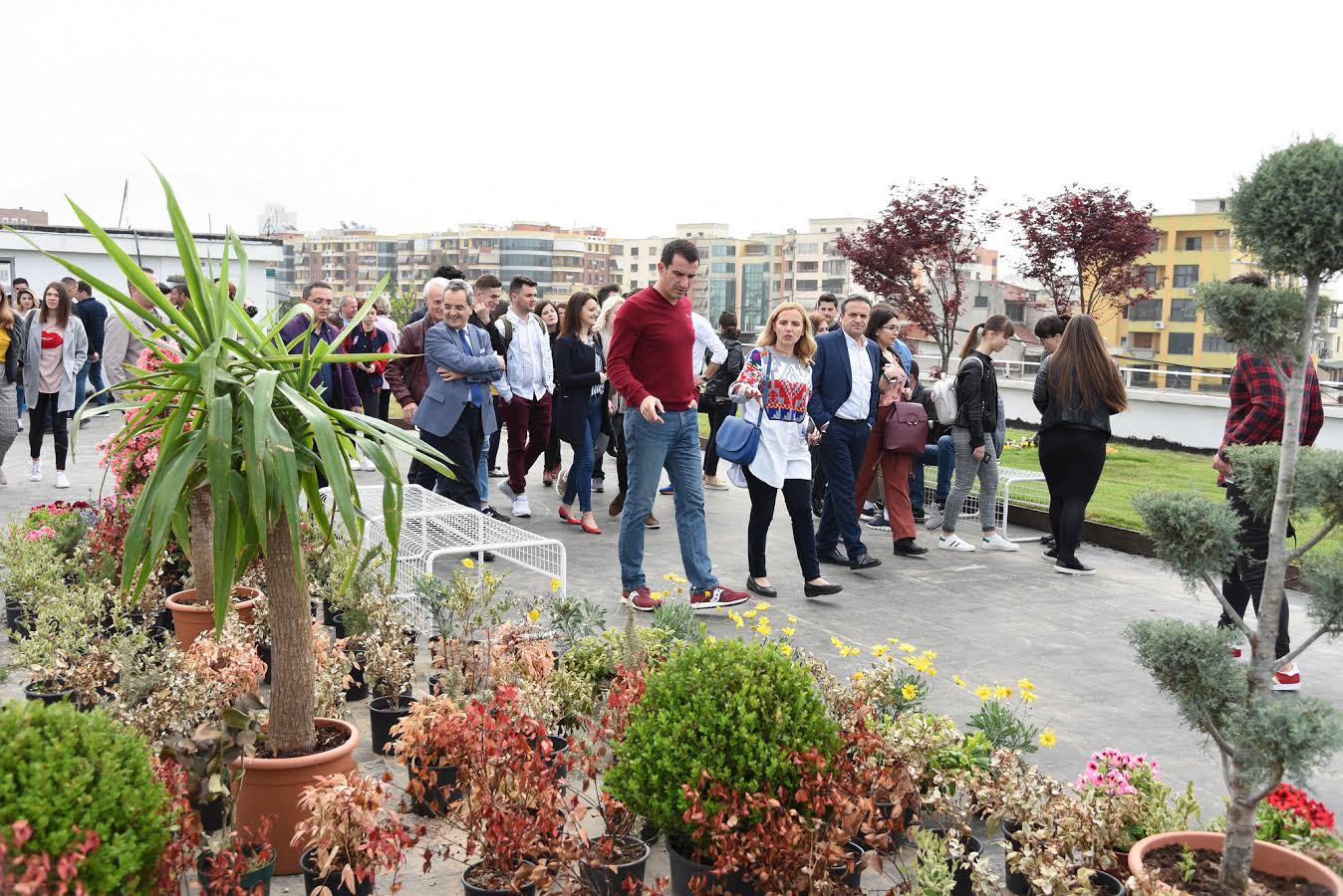 Projekti i tarracave të gjelbra në kryeqytet, bashkia bashkëfinancuese