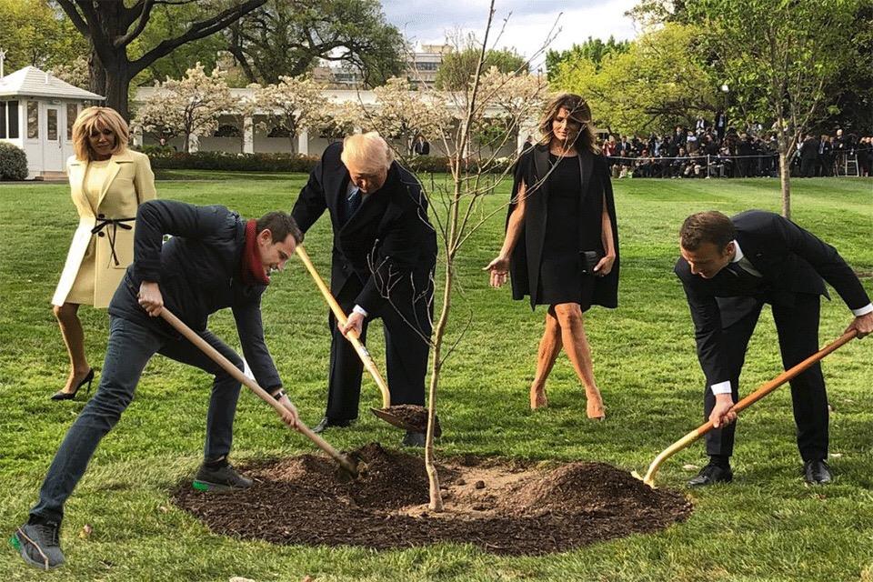 Humor në rrjet/ Veliaj i bashkohet Trump dhe Macron në mbjelljen e pemëve