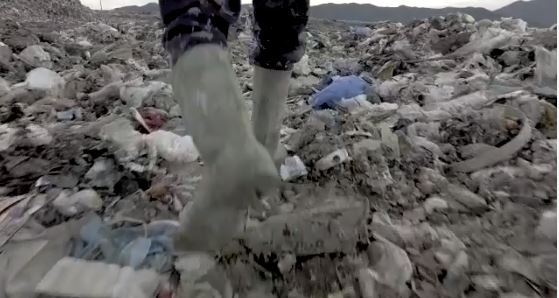 Rama nxjerr videon: Ja si do shndërrohet Sharra e lemerisë së deridjeshme mjedisore