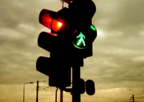 Vëzhgimi/ Kalimtarët të rrezikuar edhe te vijat e bardha