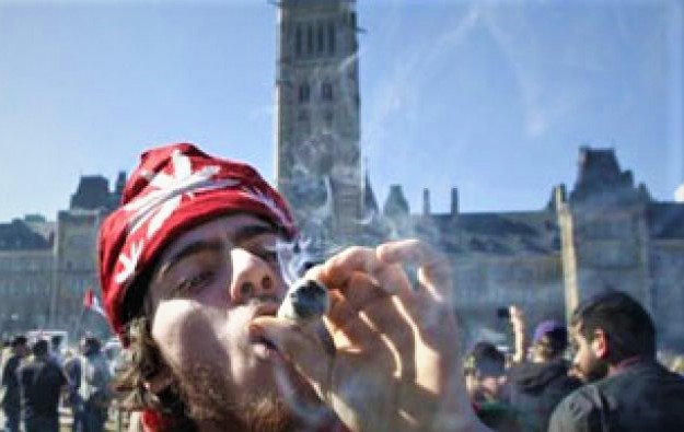 Kanadaja, vendi i parë i G7 që pritet të legalizojë marijuanën, bota mban frymën