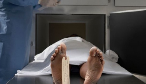 Fqinjët ankohen për erën e rëndë, gjendet e dekompozuar e moshuara në Elbasan