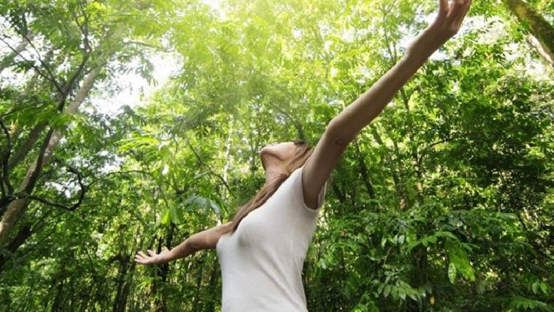 Si ndikon stresi në shëndetin e stomakut