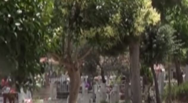 VIDEO/ S’ka më vende tek varrezat në Berat, e moshuara: Do futem te varri i burrit!