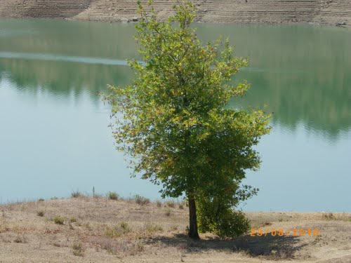 Kishte shkuar për peshkim, 18-vjeçari nga Gjirokastra gjendet i mbytur në liqen