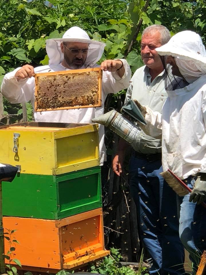 VIDEO/ Saimir Tahiri “thumbon” si bletërritës: “Një thumb larg…”!