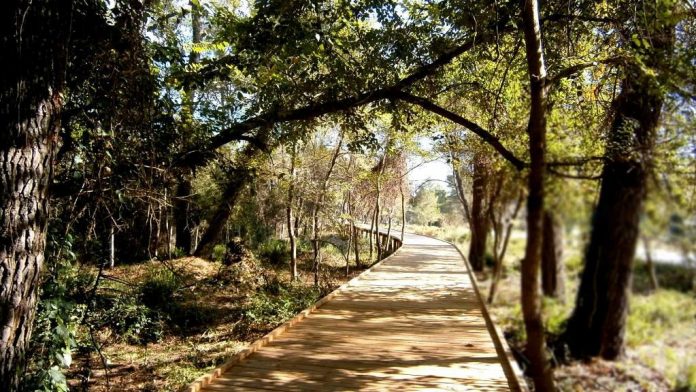 Divjaka, destinacioni i preferuar i kësaj vere