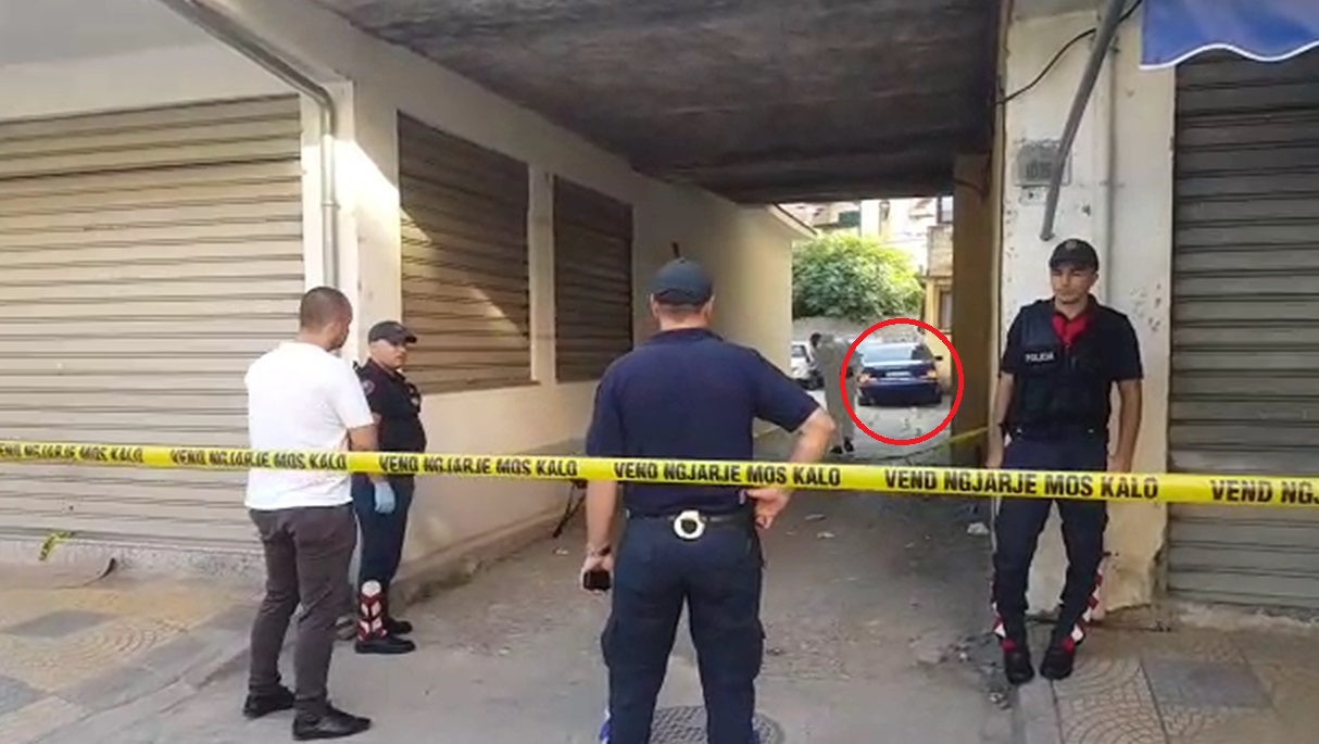 DETAJE/ Fëmija u gjet në prehrin e gruas së vrarë, ekzekutimi nga vrasës profesionistë
