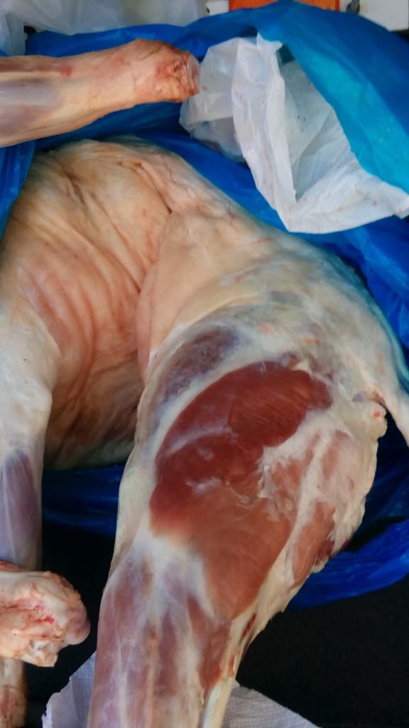 AKU vijon aksionet, sekuestrohet 44 kg mish i paçertifikuar