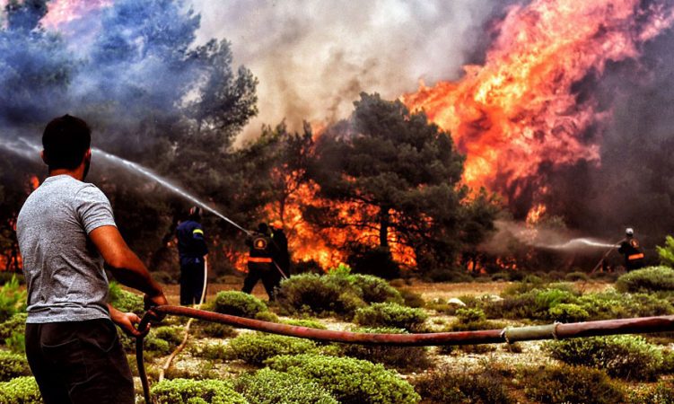 Fotot/ Zjarr në Greqi, evakuohen dy fshatra