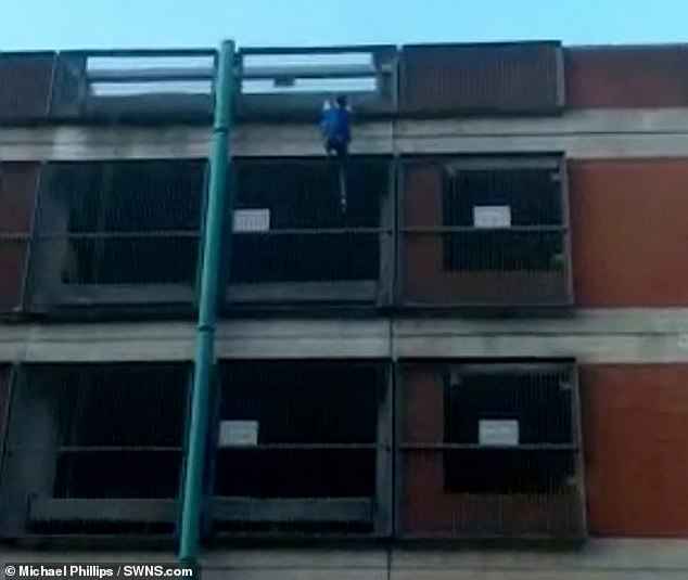 VIDEO/ Njihuni me “Spider Girl”, gruaja ngjit 8 kate pa mbrojtje