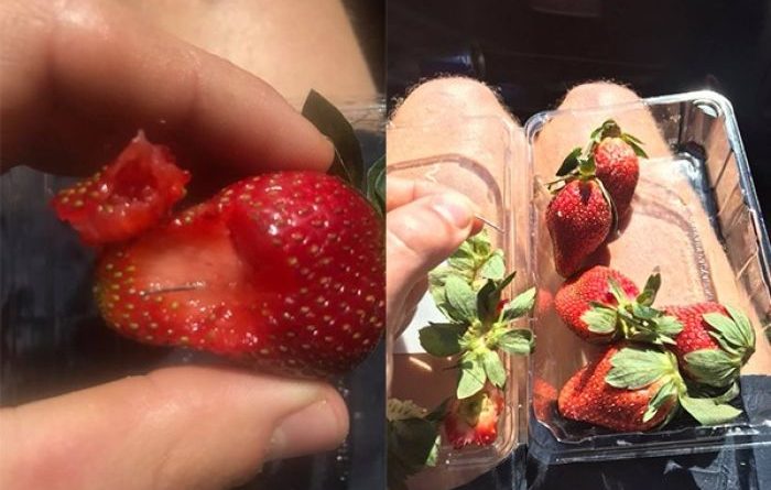 Zgjerohet skandali i gjilpërave metalike në luleshtrydhe