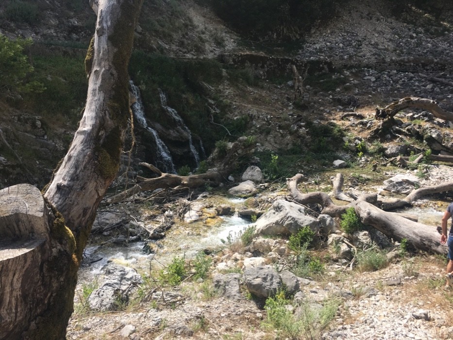 Rrëzohet nga lartësia, humb jetën bariu i moshuar